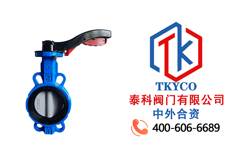 1691550461.jpg 对夹式蝶阀拼图.jpg