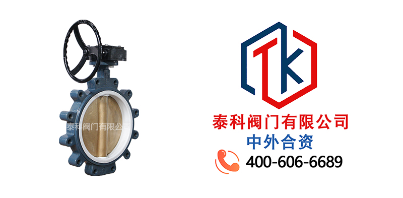 1762307528323999.jpg 蜗轮对夹支耳蝶阀拼图尼必可.jpg